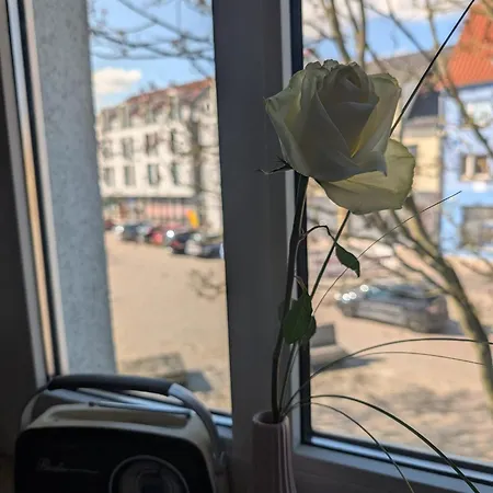 Feelgood 63, Mit Altstadt Charme, In Elbe 아파트 쇼네베크